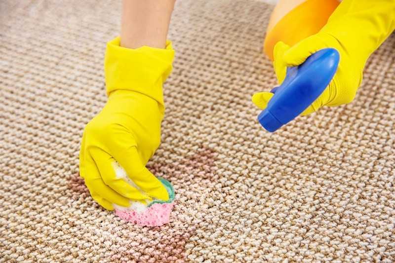 carpet cleaner