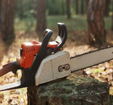 chainsaw for sale
